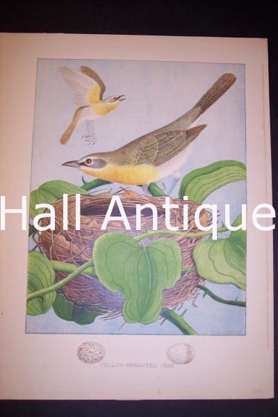 Thomas Gentry Chromolithograph 0228 125.