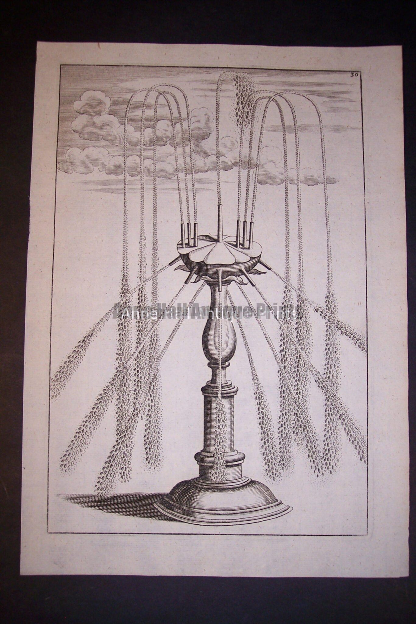 Bockler Fountain Print