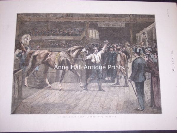 Detailed historic scene from the Graphic (19th century English Illustrated newspaper) of an auction of horses.