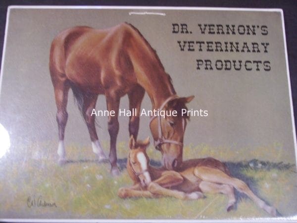 Veterinarian advertisement with Quarter Horse mare & foal, lithograph 