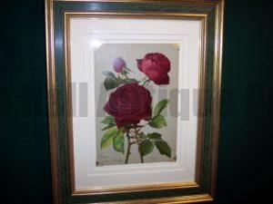 antique rose lithograph framed