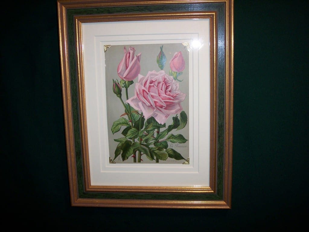 6158 Antique Rose Lithograph Framed