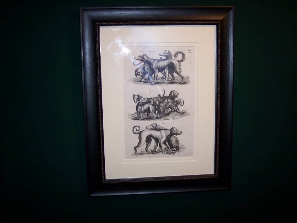 Mathias Merian Dog Print