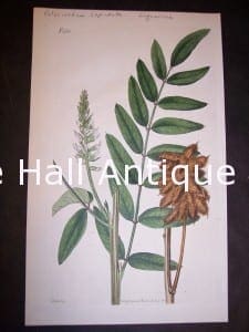 Herbs and Spices Liquorice