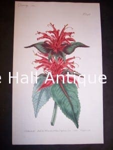 antique art Oswego Tea