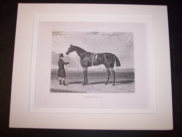 A race horse with owner depicted in history with this circa 1860 engraving.