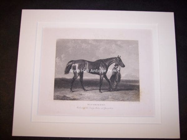 small antique engraving of race horse with groom