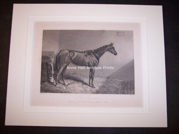 Horses Equine Horse Engraving 9760