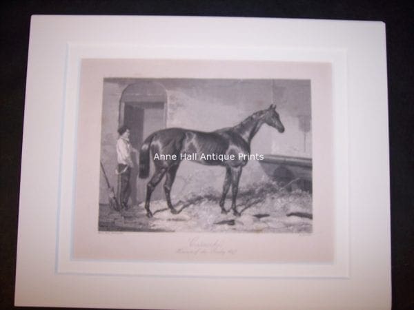 small antique engraving of race horse with groom