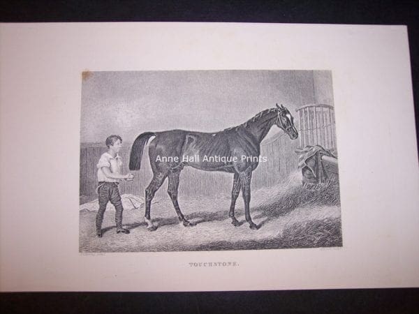 small antique engraving of race horse with groom