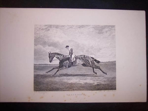 Jockey on horseback racing, horse is in full gallop.