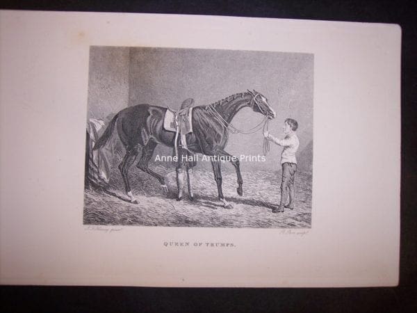 small antique engraving of race horse with groom
