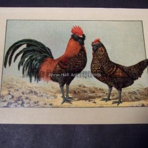 Kramer Poultry Chromolithograph