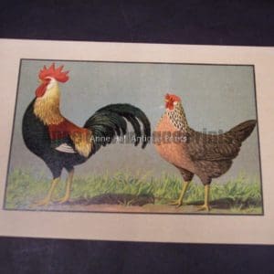 Kramer Poultry Chromolithograph
