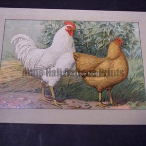 Kramer Poultry Chromolithograph