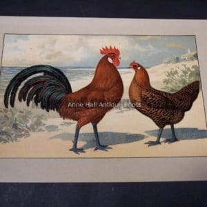 Kramer Poultry Chromolithograph