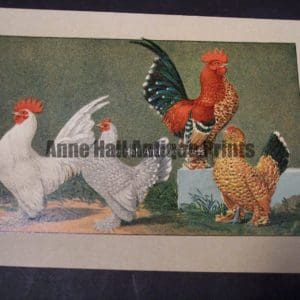 Kramer Poultry Chromolithograph
