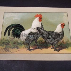 Kramer Poultry Chromolithograph