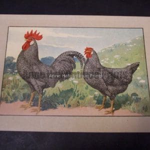 Kramer Poulrty Chromolithograph