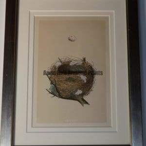 old nest litho modern frame