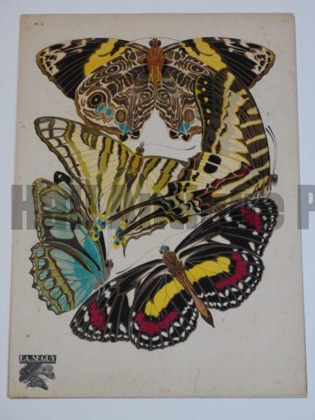 Amazing Stenciled Butterflies