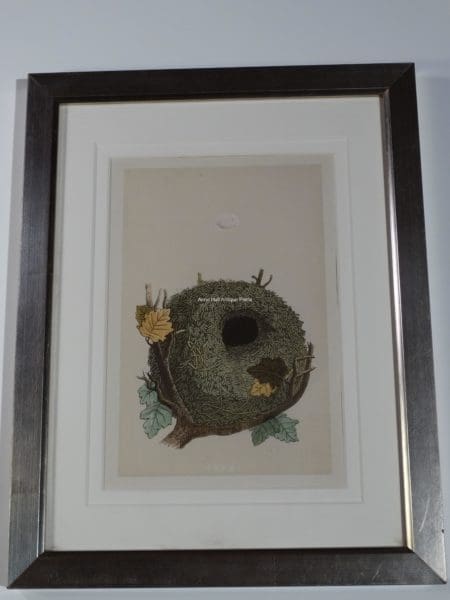 Antique Nest Lithograph Silver Frame