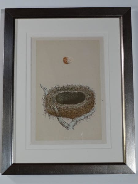 old nest lithograph modern frame