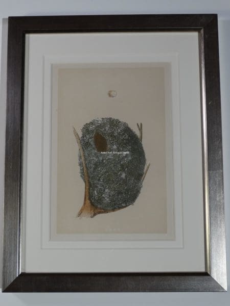 Antique Nest Lithograph Silver Frame