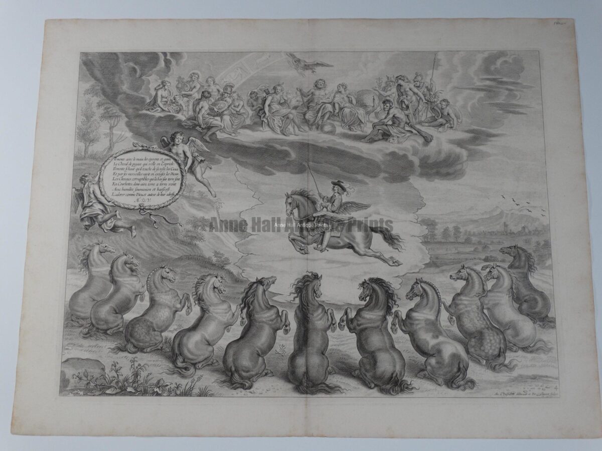 Spectacular dressage horse engraving from the 18th century of 11 trained stallions rearing in unison honoring the sport.