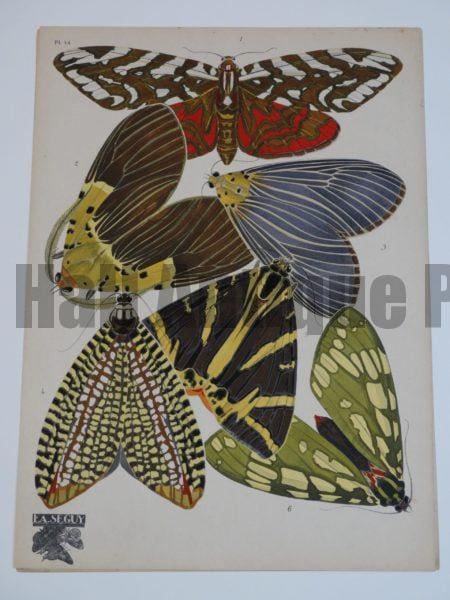French Art Deco Designs