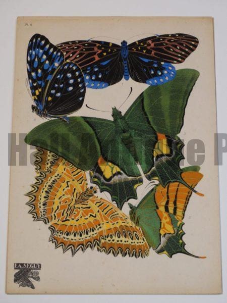 parisian art deco butterflies