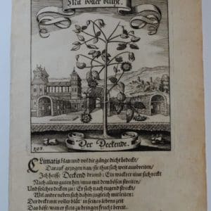 Decorative Horticultural Landscape Merian393