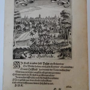 Decorative Horticultural Landscape Merian55