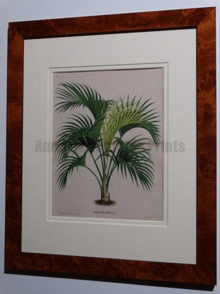 Antique Palm Lithograph Burl Frame