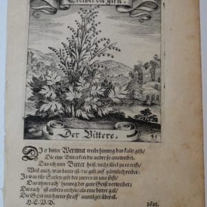 Merian Der Bittere 41 Botanical