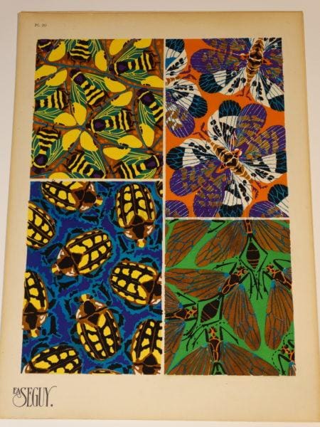 Pochoir Design Seguy Insects20