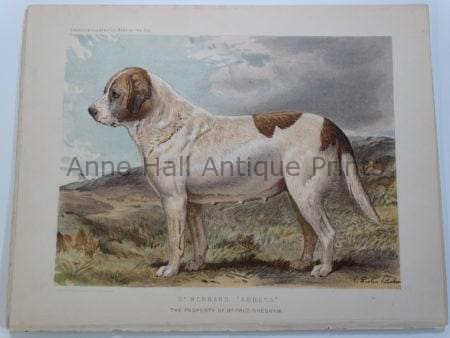 Cassell Saint Bernard Antique Lithograph Abbess $125.