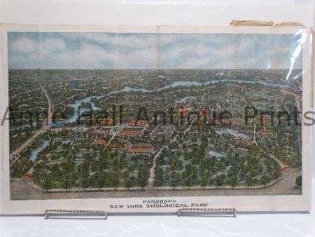Spectacular large panoramic view of the New York Zoo. Perspective is from above. Colorful antique lithograph.