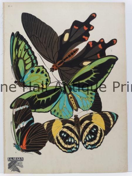 Parisian Art Deco Designs