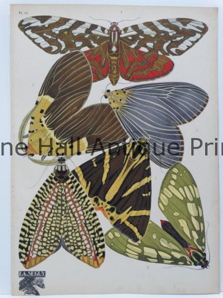 Spectacular French Art Deco Designs by E.A. Seguy.