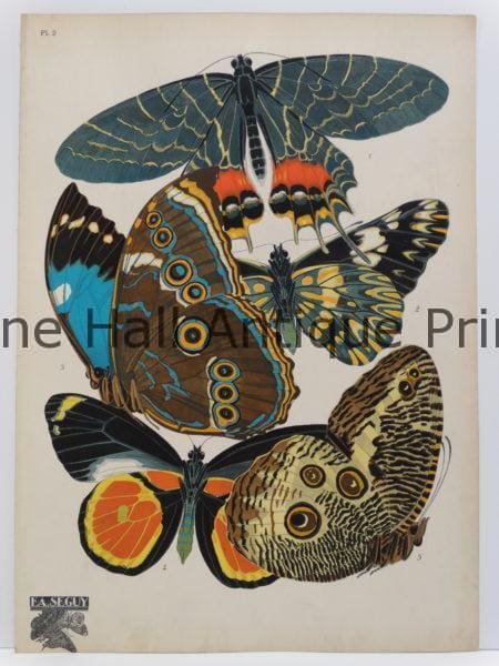 Live with authentic E.A. Seguy's art and designs.