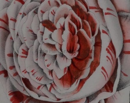 decorative camellias for Southern Living home decor