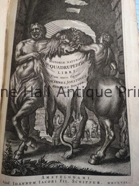 350 year old, engraved frontice piece with a centaur  sourced from Johnston Merian book.