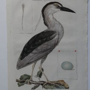 Beautiful Heron Artwork