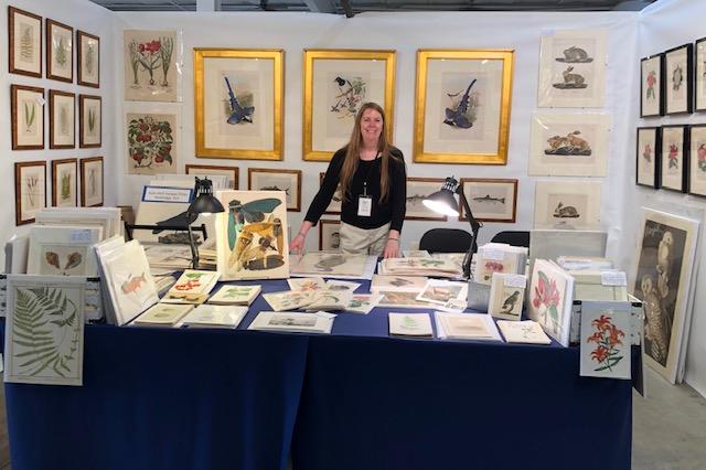 American antique prints dealer, Anne Hall, with her decorative & impressive display of, vintage antique lithographs, & hand-colored engravings, over 100 years old.