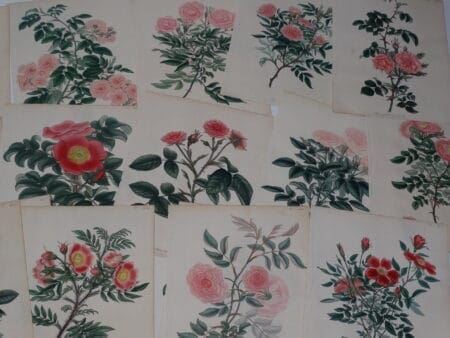 Exquisite rose garden bookplates