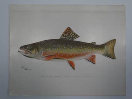 fly fishing wall art