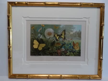 19th century colorful lithograph. Spectacular framing on the trio of antique prints.