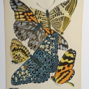 Seguy Pochoir Butterflies PL3