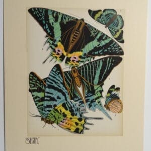 Seguy Pochoir Butterfly Design NoS7